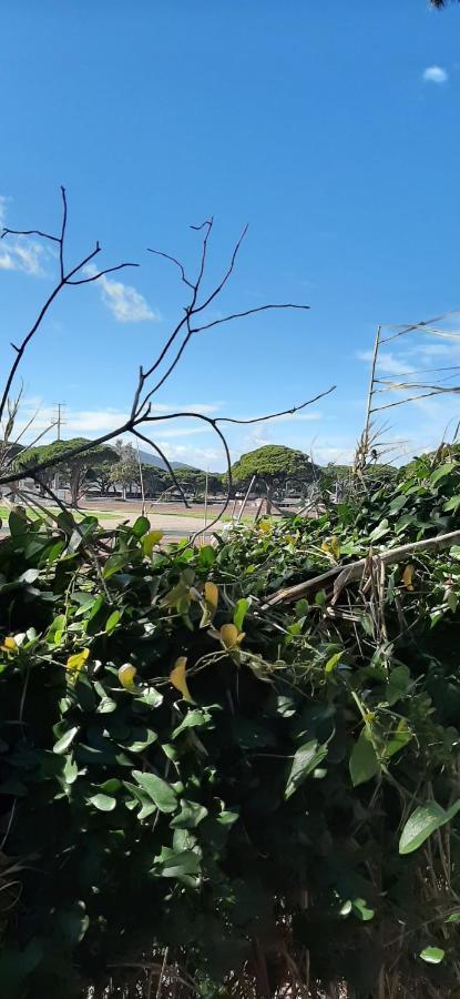 Les Iles D'Or Au Port De Hyeres Grand Studio Climatise Ngoại thất bức ảnh