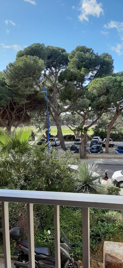 Les Iles D'Or Au Port De Hyeres Grand Studio Climatise Ngoại thất bức ảnh