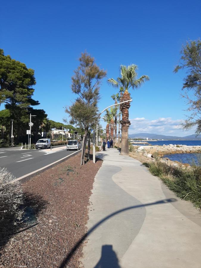 Les Iles D'Or Au Port De Hyeres Grand Studio Climatise Ngoại thất bức ảnh