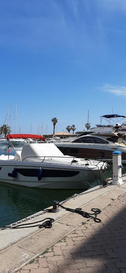 Les Iles D'Or Au Port De Hyeres Grand Studio Climatise Ngoại thất bức ảnh